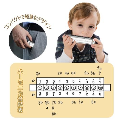 10-Hole Chromatic Harmonica in C Key, Available in Silver or Black, for Beginners to Advanced Players, Highly Airtight Blues Harp Set (Silver)