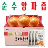 Onion Juice Pure Onion Juice Muan Yellow Soil Grown Parama Foods 100ml X 160 Packs Pure Onion Juice 160 Packs X 1 Box