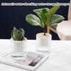 Household Anti Rots Auto-Watering Planter for Living Room Plant Flowers Automatic Water-Absorbing Flowerpots