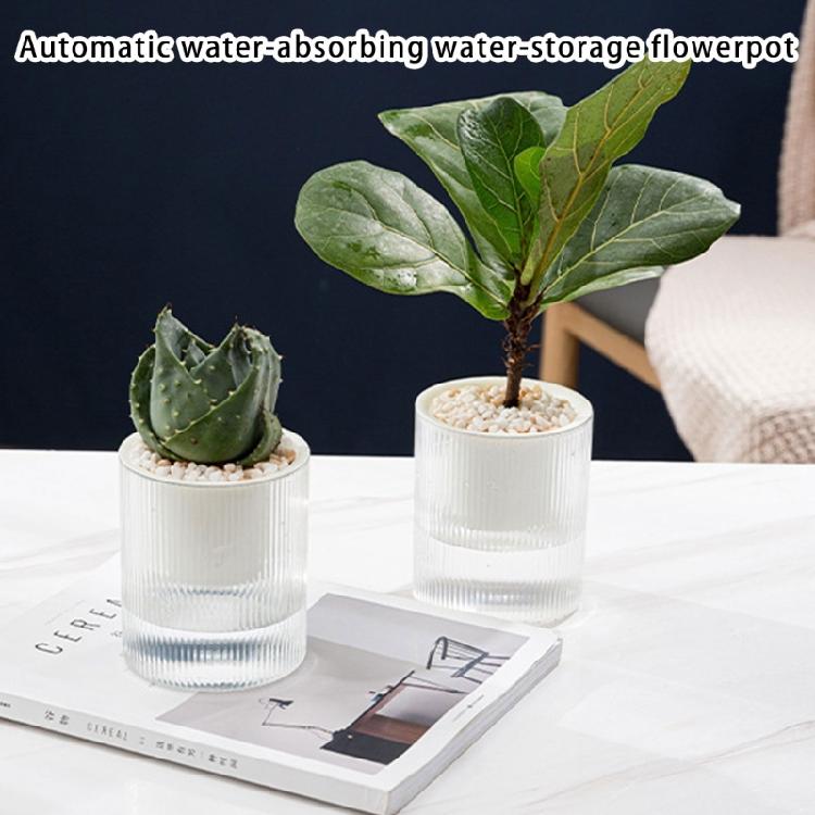 Household Anti Rots Auto-Watering Planter for Living Room Plant Flowers Automatic Water-Absorbing Flowerpots