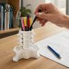 Creative Spine Pen Holder Simulated Holder, Skeleton Desktop Organizer, Durable Scientific Desk Ornament PLA 3D Printed Anatomy for Home Office