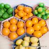 Accesorii pentru decor – Obiecte de decor din plastic