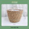 Rattan Woven Flower Basket for Home and Balcony Decor with Green Plants