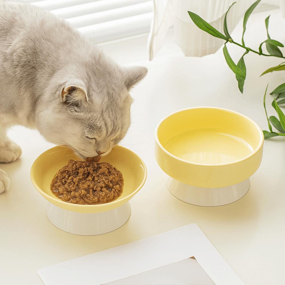 Anti Tipping Pet High Foot Bowl Cute Pet Drinking Feeder Pet Supplies Cat Bowl  Kitten Puppy