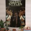 Şarkıcı H-Harry Müzik Tarzları Kendin Yap Duvar Gobleni Hippie Çiçek Duvar Halıları Yurt Dekoru Duvar Sanatı Dekoru