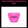 TXT 7th Year: A Moment of Stillness in the Thorns Pot