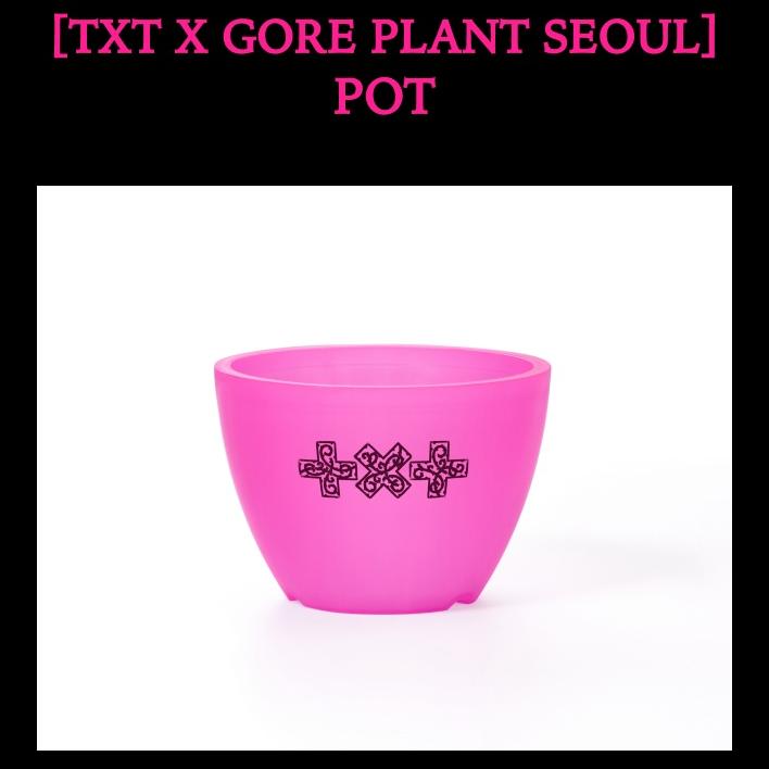 TXT 7th Year: A Moment of Stillness in the Thorns Pot