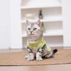 Protective Small Dog Kitten Clothes Anti-Slip Pet Anti-scratch Vest Pet Cat Shirt  Cat