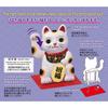 Sanrio Message 453897 Card, Multipurpose, Maneki-neko (Lucky Cat) WA4-5