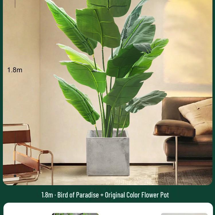 High-End Indoor Bird of Paradise Decor: Luxury Potted Traveler's Palm