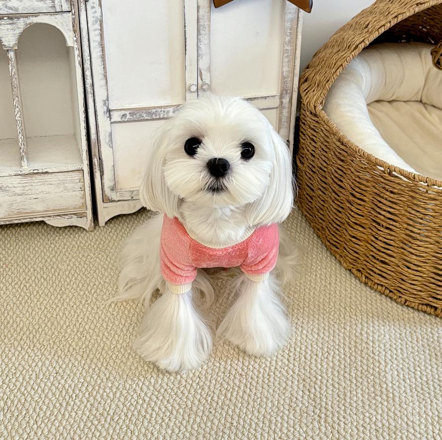 

Embroidered Plush Dog & Cat Clothing for Small to Large Pets - Teddy, Bichon Autumn/Winter Wear L