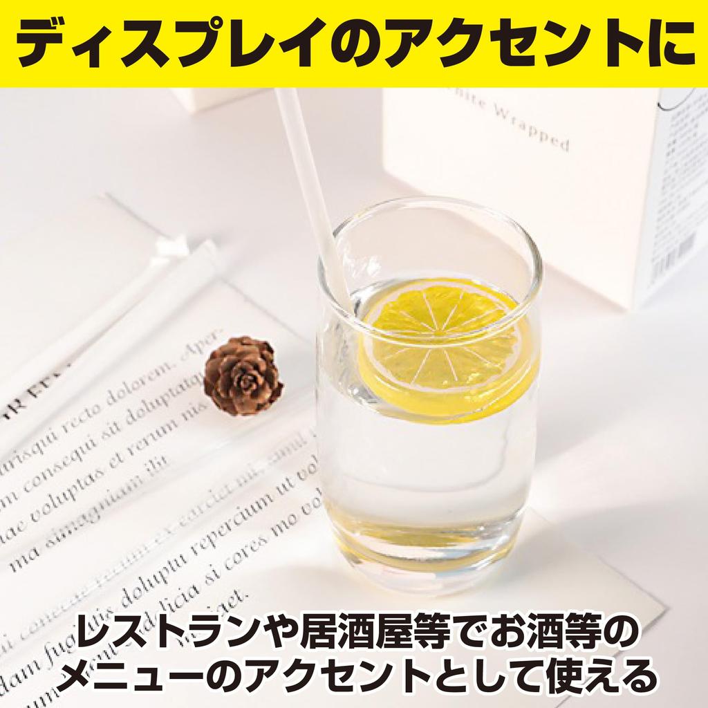 HAMILO Lebensmittelset mit 30 Proben, Obst, Zitrone, Scheiben, Auslage,