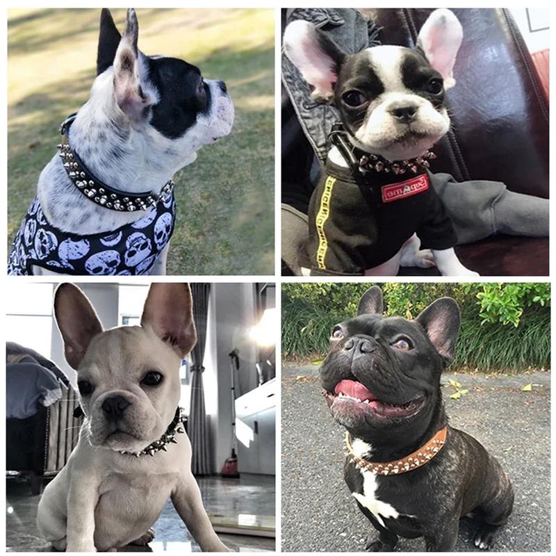 Justerbart kjæledyrhundehalsbånd i lær Halsrem Forsyninger PU Lær Punk Nitter Pigger Hundehalsbånd Kjæledyrhalsbånd For Liten Hund Katt