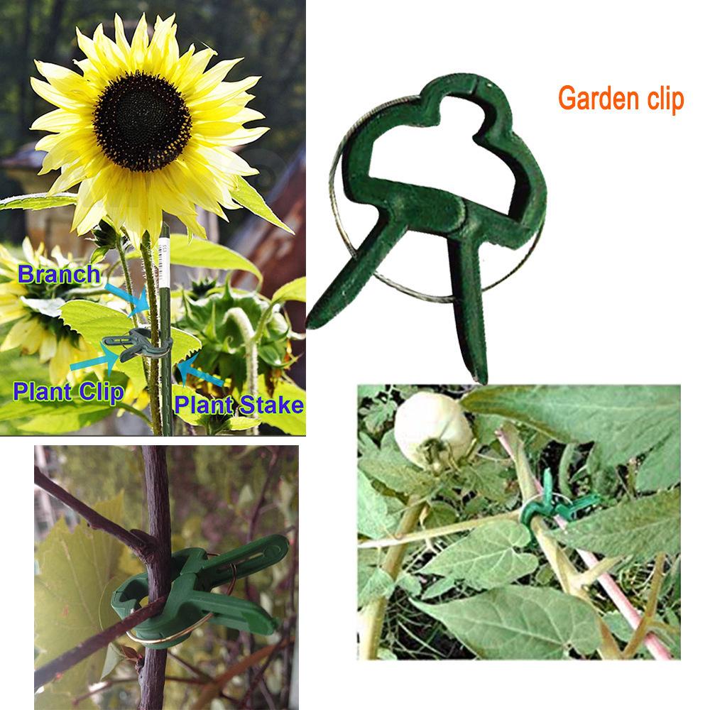 20 Horticulture Seedling Grafting and Pruning Clips for Flowers and Grasses [Various Sizes Available]