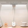Oeny Dual-Head Clip-On Desk Lamp