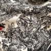 Luxury Imitation Cashmere Shawl: 140cm Square, Warm & Thick with Short Tassels