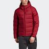Adidas Outdoor Slim Fit Hooded Down Jacket Men Outerwear DZ1426