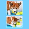 Squeaky Tennis Dog Chew Toy Bite Resistant Aggressive Chewer Interactive Ball Toy Small Medium Large Dog Teething Cleaning Ball Toy