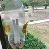 Fruit Fly Trap Excludes Bottle