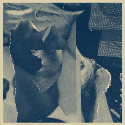LP Record ARIA ROSTAMI & DANIEL BLOMQUIST - Distant Companion DE211 Dark Entries 2018 US Dance & Electronica