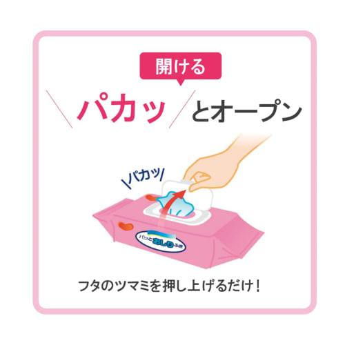 Bulk Purchase: Habinurse Flushable Baby Wipes x 4 Packs for Care, Adults, and Seniors (72 Sheets x 4)