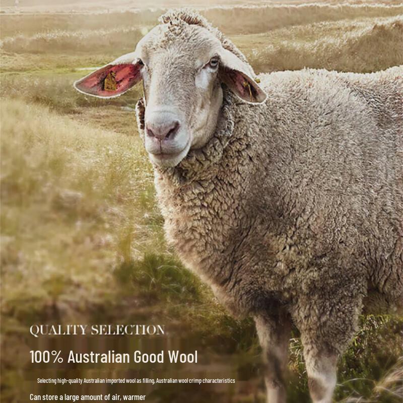 MERCURY Will Antibacterial Australian Wool Quilt
