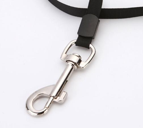 Leash For Dog Or Cat Automatic Strong Tape 5M With Locking 15Kg S1
