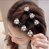 Funkelnde Kristall Strass Zopf Haar Klee Clips für Dickes Dünnes Haar Mädchen/Damen Zopf Haarspangen Haarstyling Zubehör