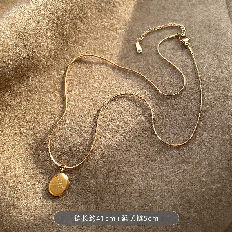 Light Luxury Titanium Steel Clavicle Necklace For Women Versatile Sweater Neck Jewelry