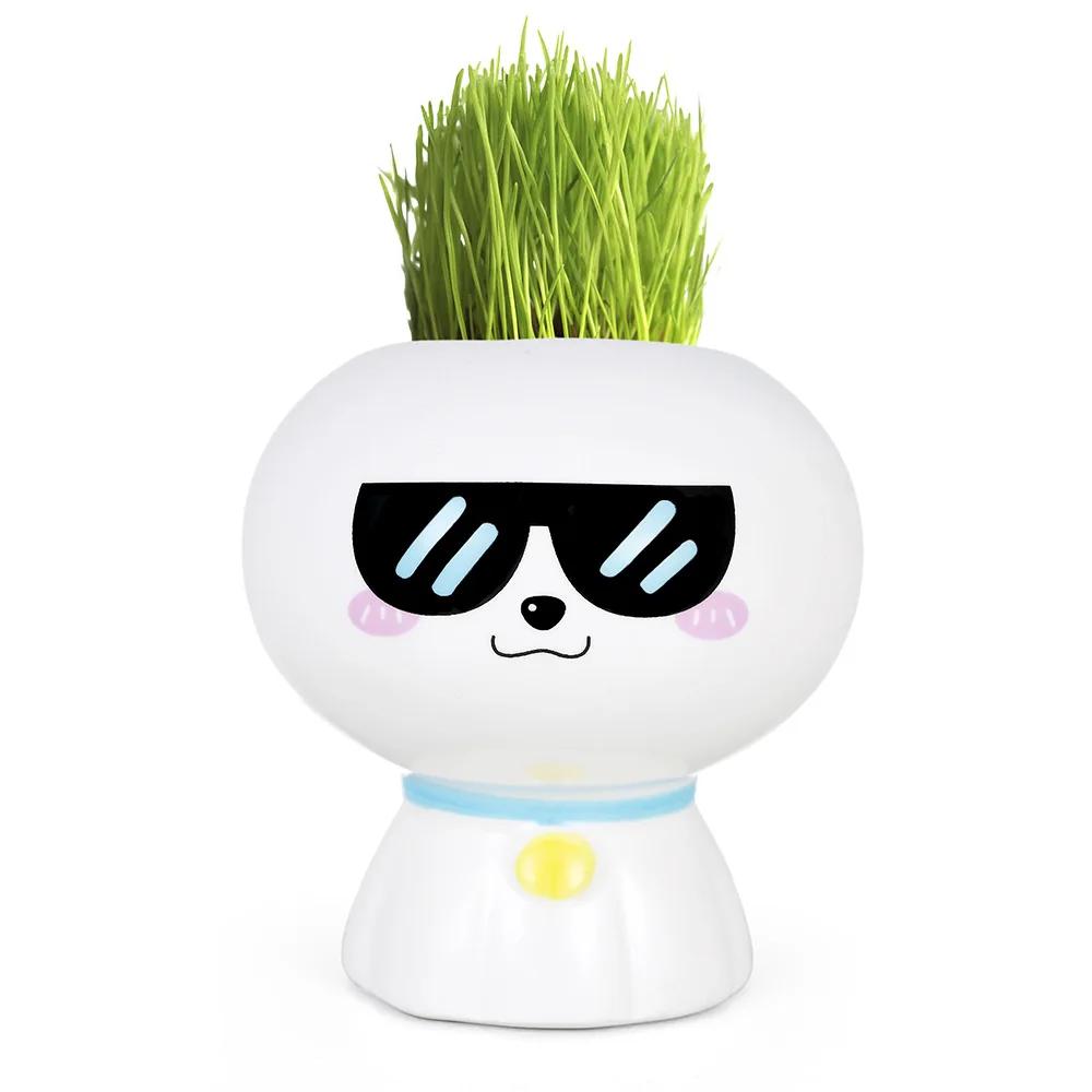 Nouă mini păpușă drăguță ghiveci cu flori Ghiveci din ceramică suculente în ghivece creative bricolaj jucării pentru copii cadou educație științifică decor acasă