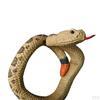 Bracelet, Novelty Simulation Animal Model Wristband, Scary Toys, Adults Teens Plaything for Party