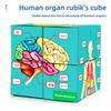 Science Experiment Human Body Organs Magic Cube For Students Educational Diy Toy
