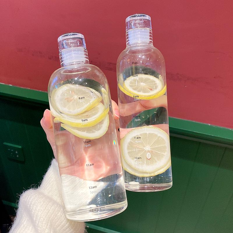 Portable High Borosilicate Glass Water Cup - Ins Style with Free Shipping