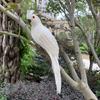 25/35cm Simulation Parrot Garden Decoration Creative Lawn Figurine Ornament Animal Bird Outdoor Garden Party Prop Decoration