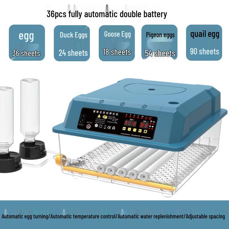 Fully Automatic Household Mini Egg Incubator with Smart Egg Turner