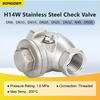 H14W Stainless Steel Check Valve 304 Swing Check Valve Threaded NPT One Way Non Return Backflow Preventer Valve