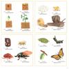 The World of Nature with Interactive STEM Toy Set