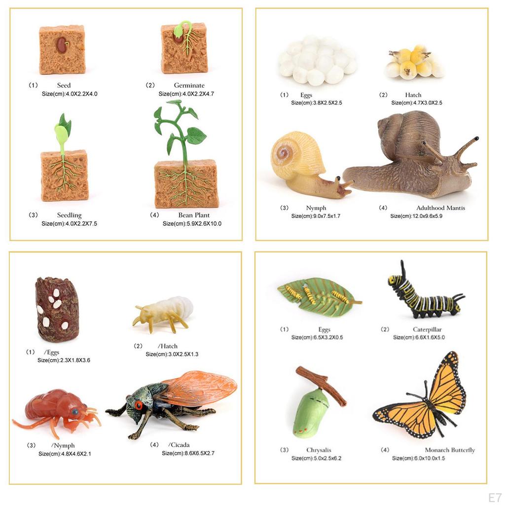 The World of Nature with Interactive STEM Toy Set