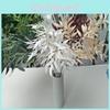 Branches For Willow Wedding Props Home Styling Photography Decorations