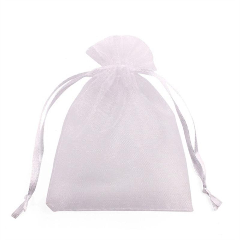 10Pcs Fruit Insect-Proof Mesh Bag Protector, Holiday Gift