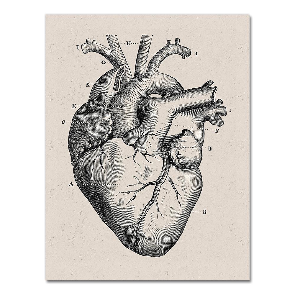 Human Anatomy Wall Art Hospital Vintage Posters and Prints Doctor Office Decoration Skeleton Anatomical Skull Canvas Painting