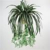 Comosum Chlorophytum Wall Hanging Decoration For Indoor Outdoor Gift Garden