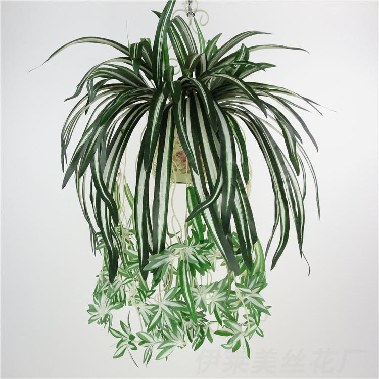 Comosum Chlorophytum Wall Hanging Decoration For Indoor Outdoor Gift Garden