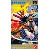 Used SFC SNES Ginga Sengoku Gunyuuden Rai Galaxy Warring States RivalChiefs Biography Cartridge SHVC-AQPJ-JPN SHVCAQPJJPN Tested Working NTSC-J