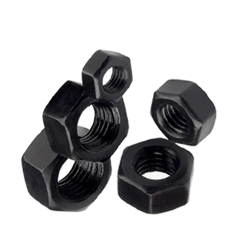 Stainless Steel M16 Hex Nut