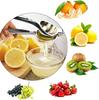 Stainless Steel Manual Juicer Multi Functional Portable Fruit Press Squeezer Orange Juicer Handheld Lemon Clip Fresh Juice Maker
