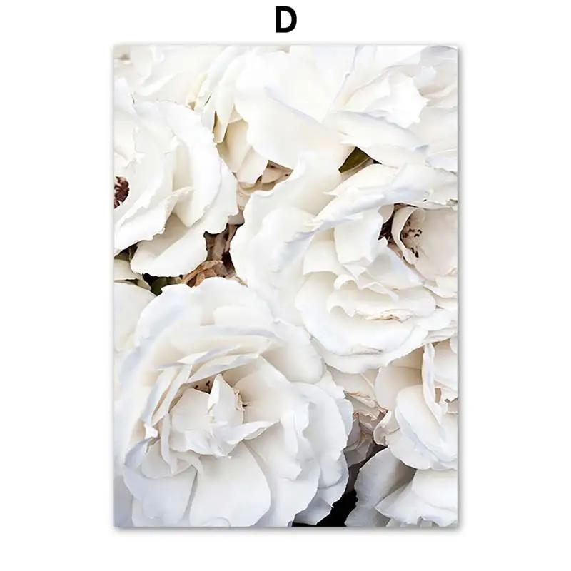 Blooming White Rose Leopard Pink Flower Beast Tiger Wall Art Mural Canvas Painting Posters Prints Decor Pictures For Living Room