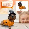 Halloween Dachshund Witch Hat Pumpkin Costume Dog Statue,Holiday Gifts For Friends