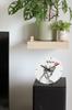 Sphynx – Wall clock with a cat, shelf clock with a print | Art-Dog