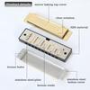 Professional Ten-Hole Metal Harmonica - Alloy Toy Musical Instrument